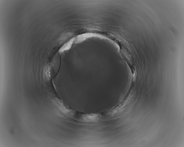 X0000111120479200907281033