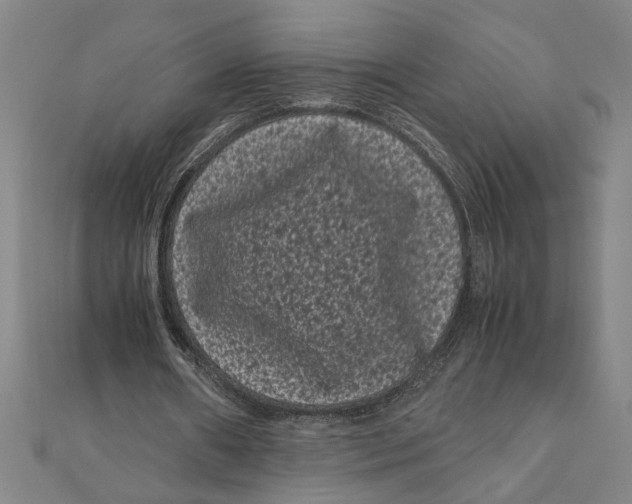 X0000111120482200907281032