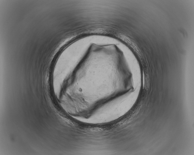 X0000111120483200907281032