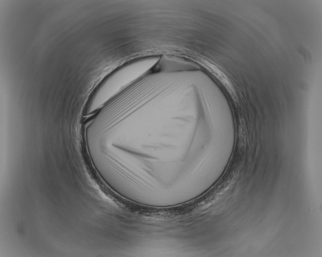 X0000111120485200907281032