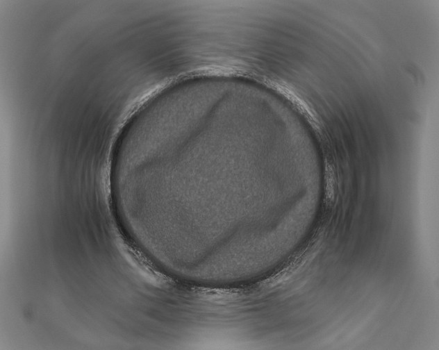 X0000111120486200907281032