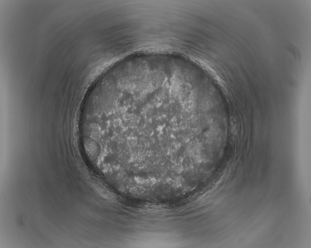 X0000111120487200907281032
