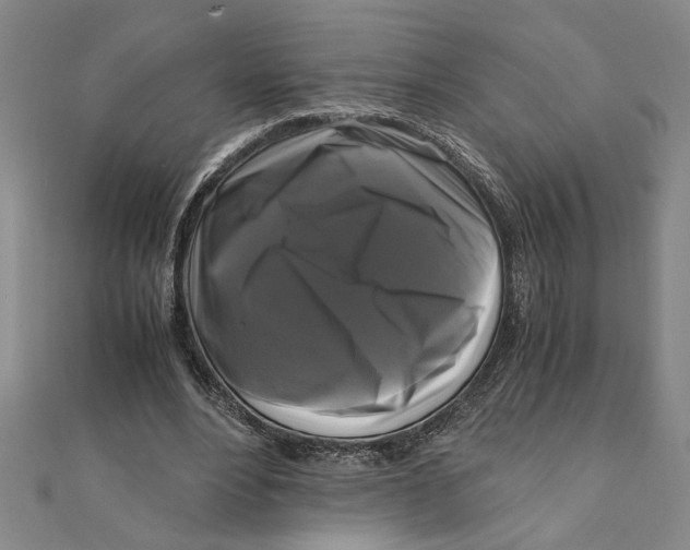 X0000111120488200907281032