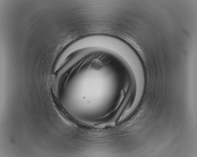 X0000111120489200907281032