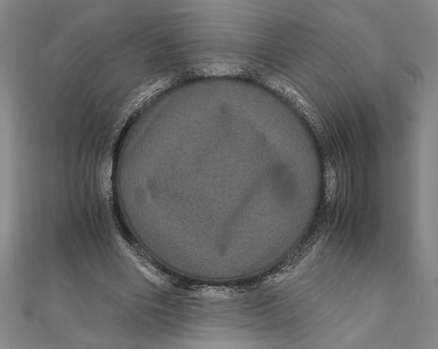 X0000111120490200907281032