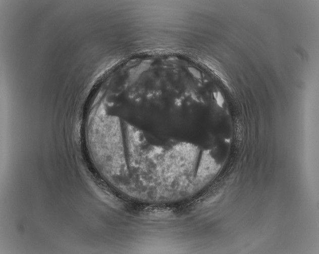 X0000111120491200907281032