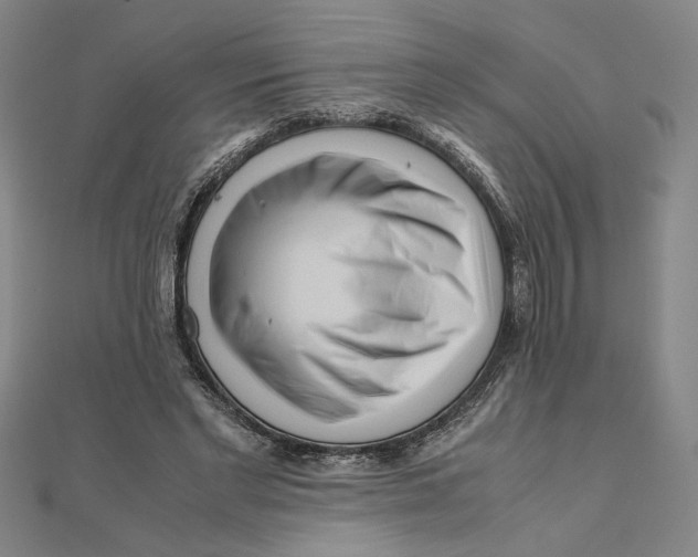 X0000111120493200907281032