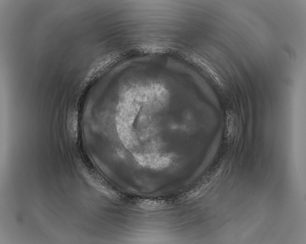 X0000111120494200907281032