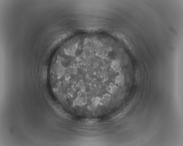 X0000111120495200907281032