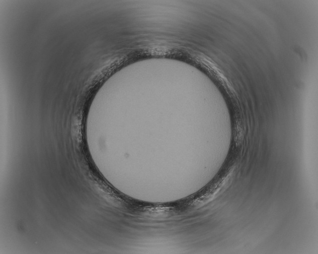 X0000111120497200907281032