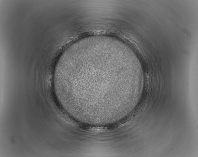 X0000111120499200907281032