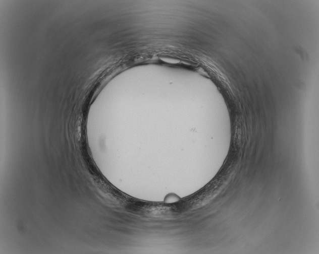 X0000111120501200907281032