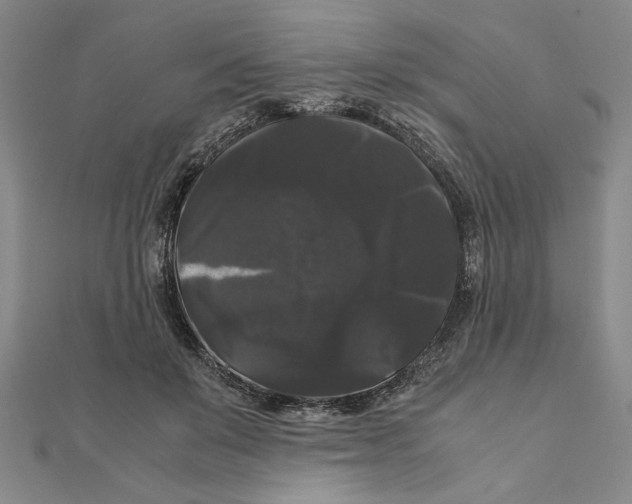 X0000111120503200907281032
