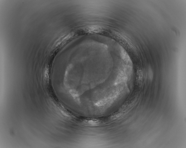 X0000111120506200907281032