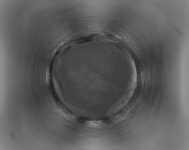 X0000111120508200907281032
