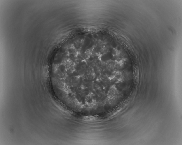 X0000111120511200907281032
