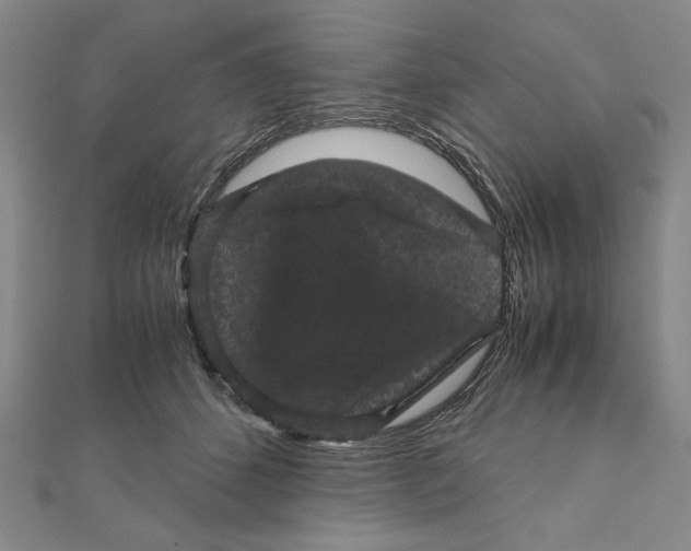 X0000111120512200907281032