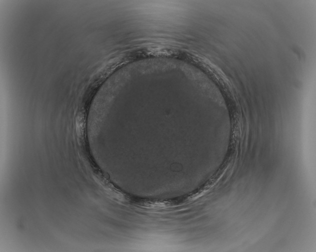 X0000111120513200907281032