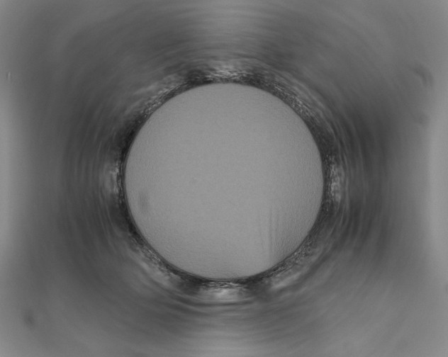 X0000111120514200907281032