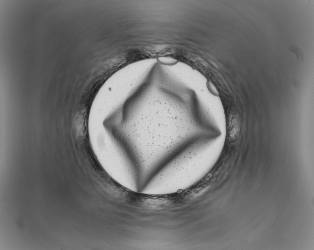 X0000111120515200907281032