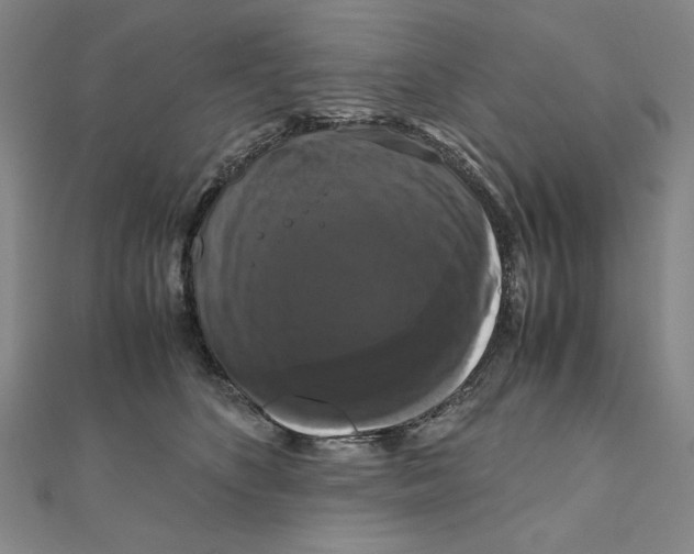 X0000111120516200907281032