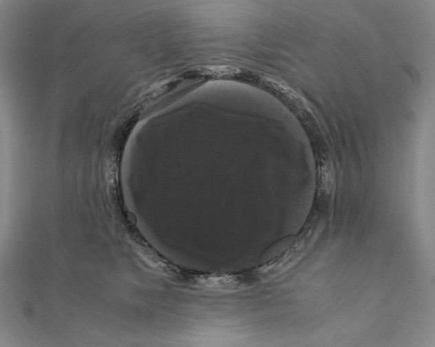 X0000111120517200907281032