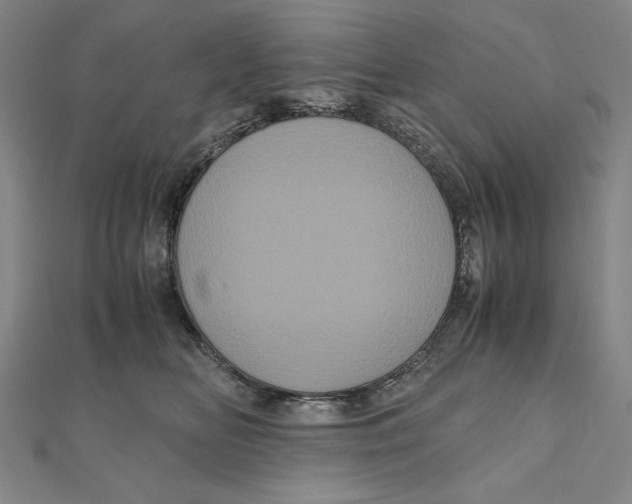 X0000111120518200907281031