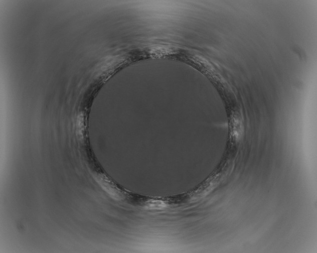 X0000111120519200907281031