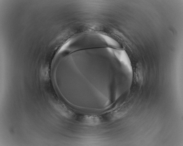 X0000111120520200907281031