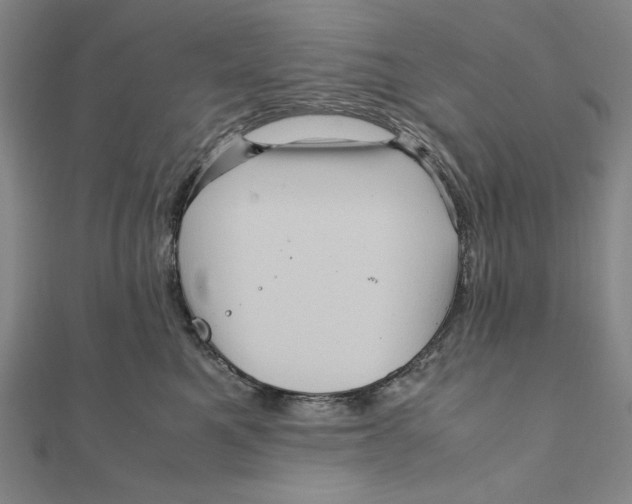 X0000111120521200907281031