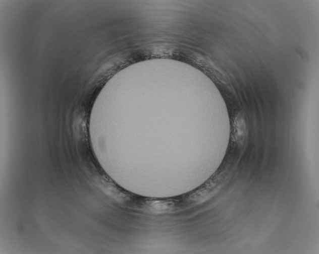 X0000111120522200907281031