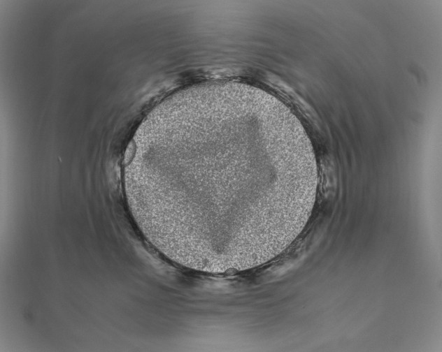 X0000111120523200907281031