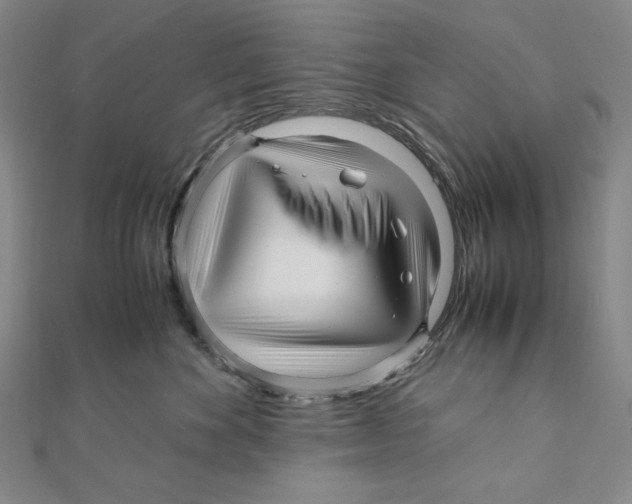 X0000111120524200907281031