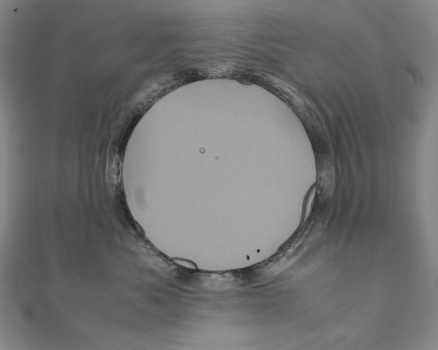 X0000111120525200907281031