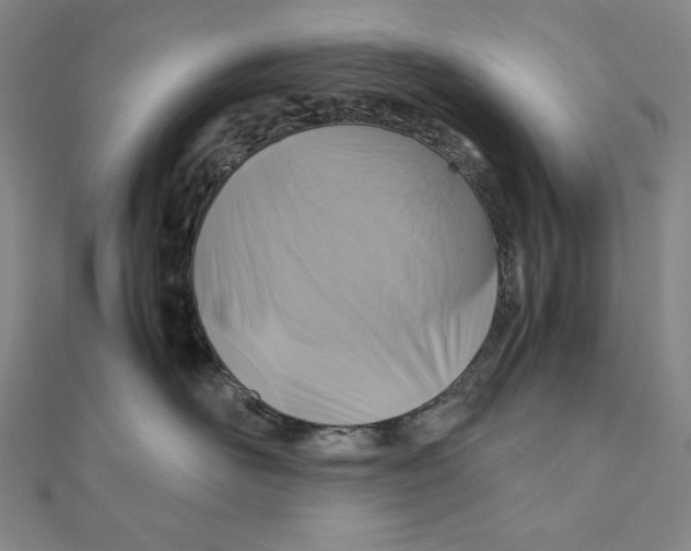 X0000111120526200907281031