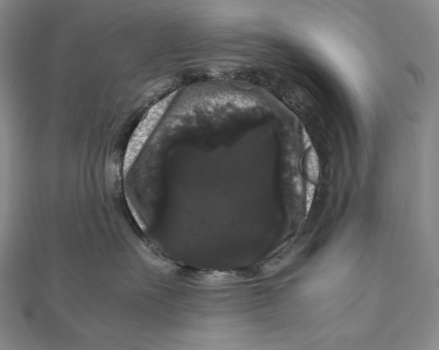 X0000111120527200907281031