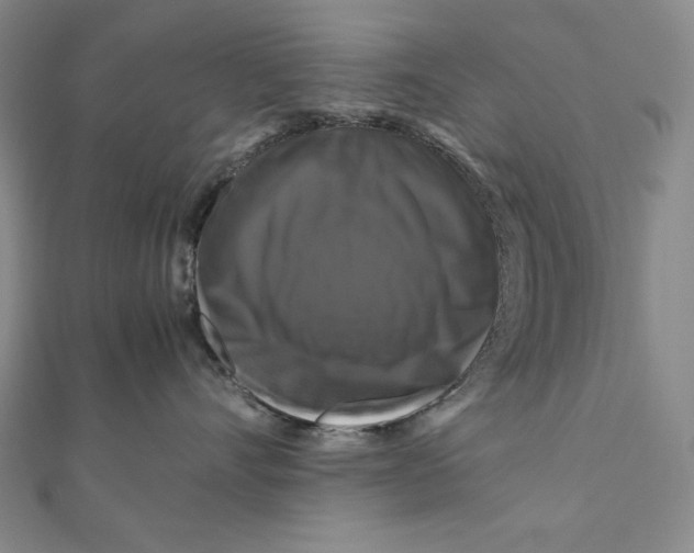 X0000111120528200907281031