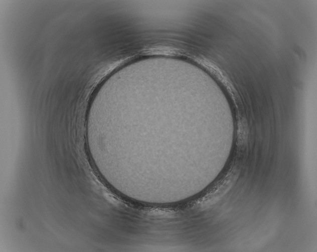 X0000111120529200907281031