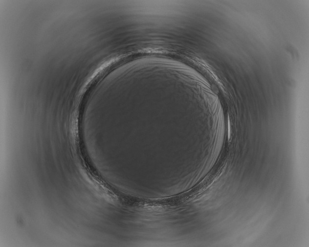 X0000111120531200907281031