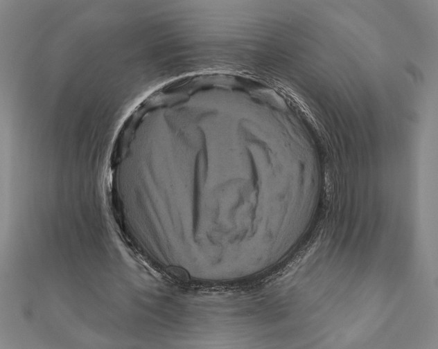 X0000111120532200907281031