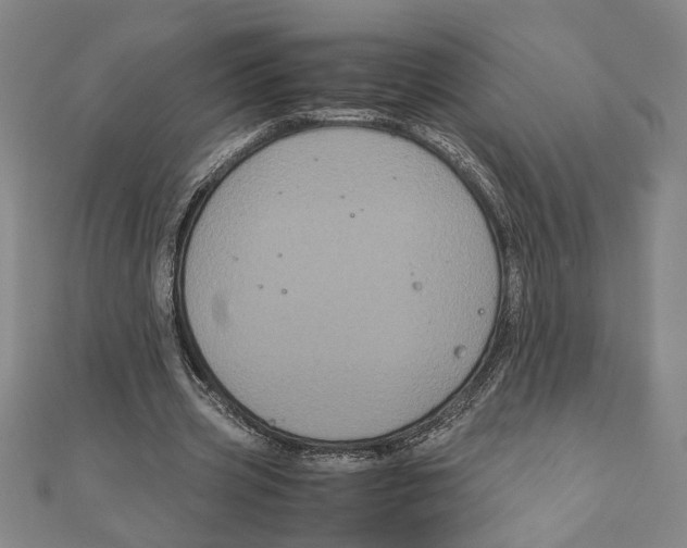 X0000111120533200907281031