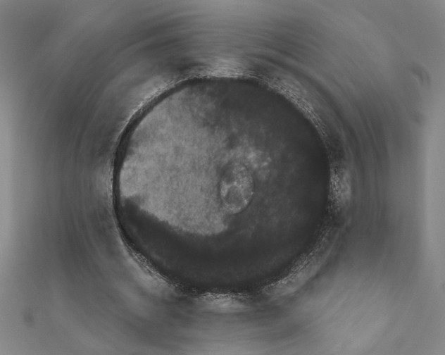 X0000111120534200907281031