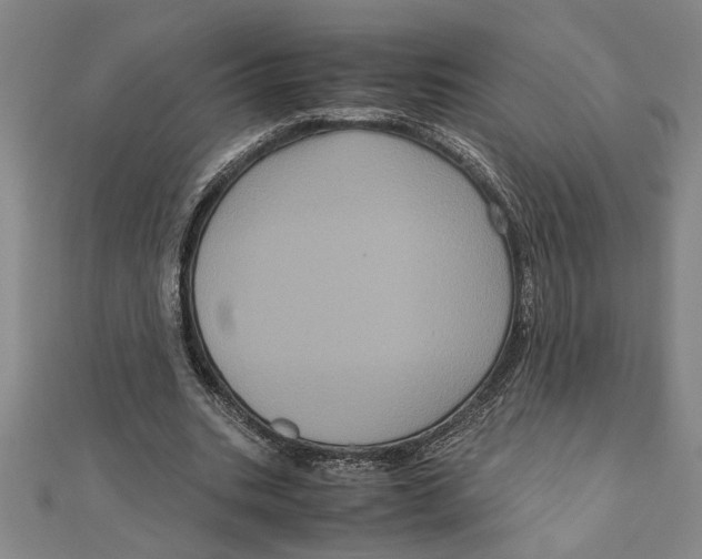 X0000111120535200907281031