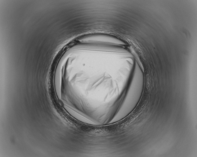X0000111120536200907281031