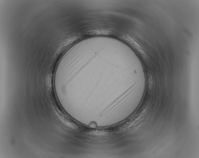 X0000111120537200907281031