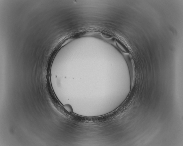 X0000111120538200907281031