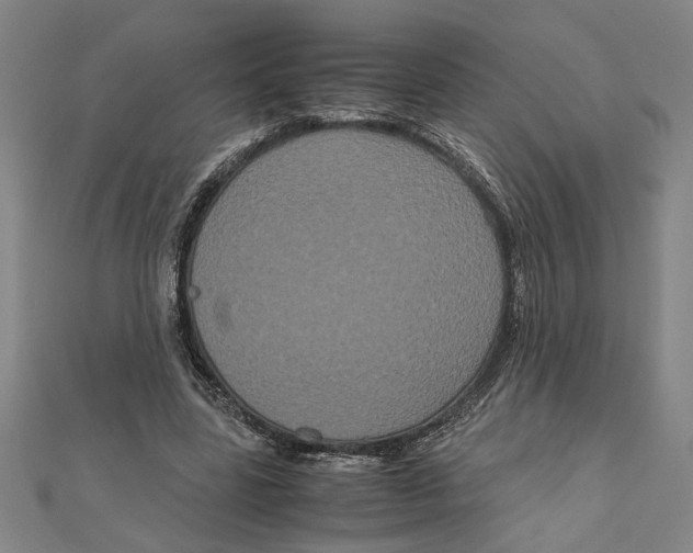 X0000111120539200907281031