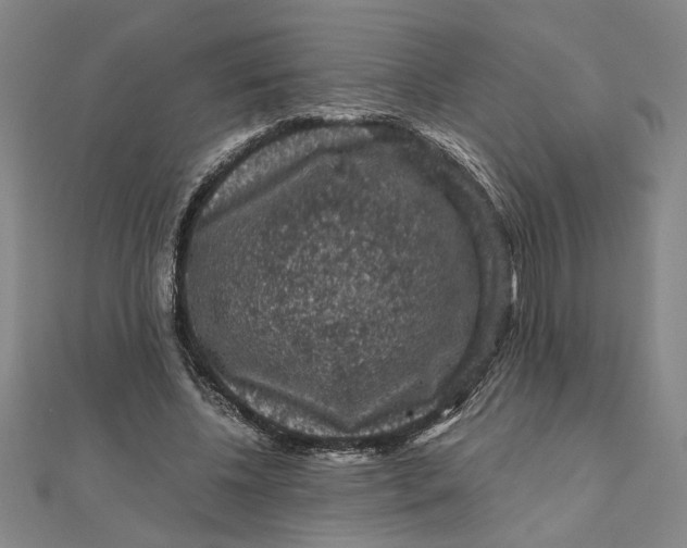 X0000111120540200907281031