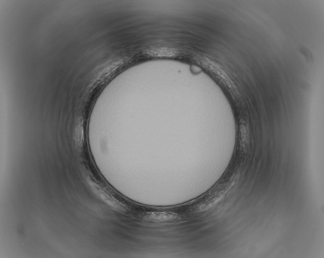 X0000111120541200907281031