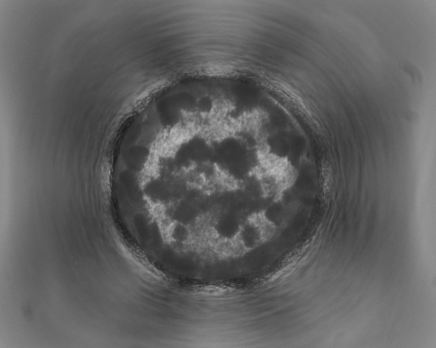 X0000111120542200907281031